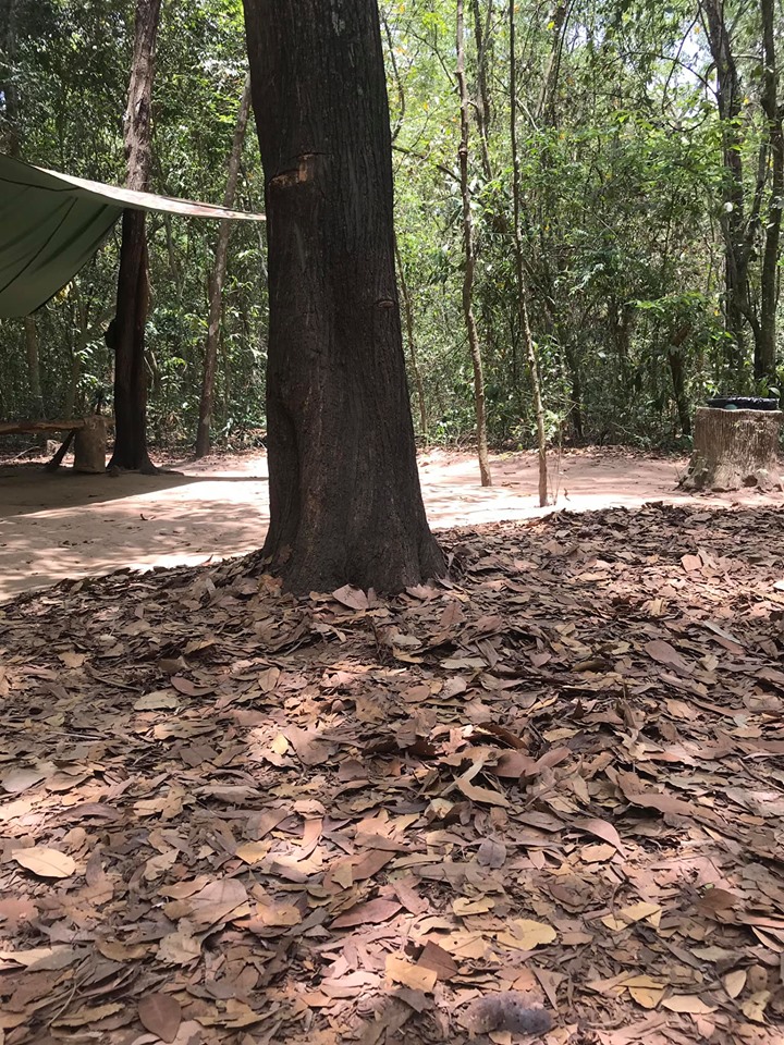 A Vietnamese man entering one of the Cu Chi Tunnels - he is has now disappeared and the entrance is not even visible