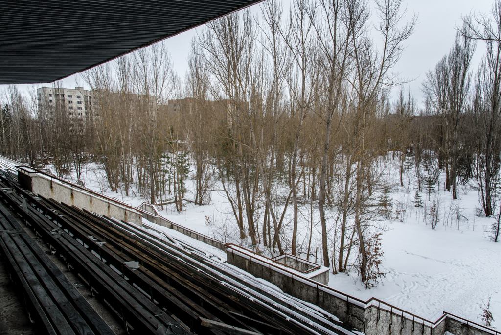 Photo taken from the stand overlooking what was once a football pitch... not just an expanse of trees!