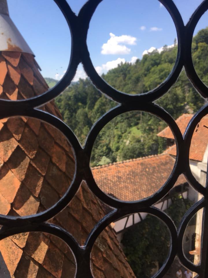 Bran castle as seen through the trellis