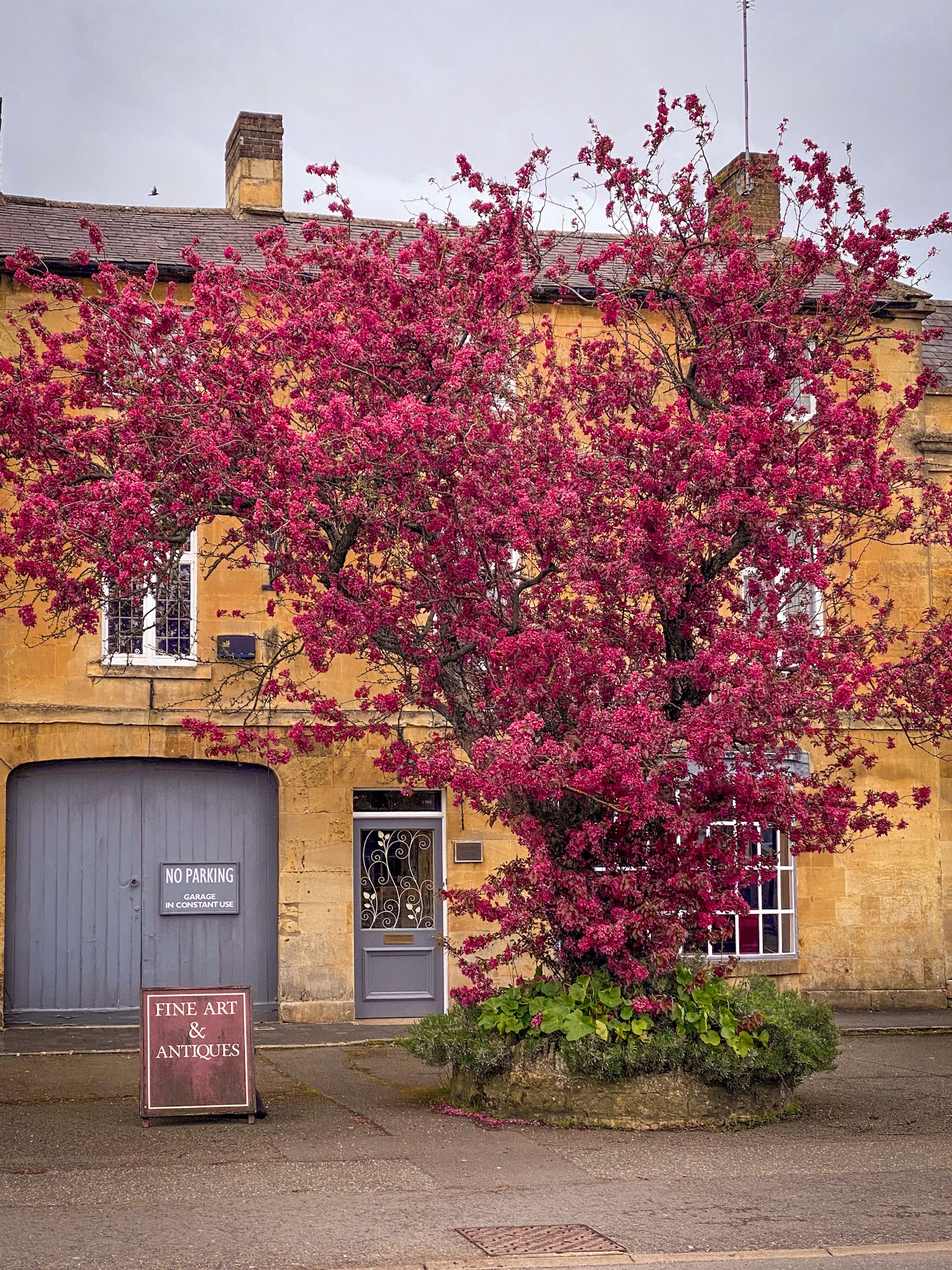 Moreton-in-Marsh in all it's Spring glory. Lovely deep pink tree in front the honey brown Cotswold stone