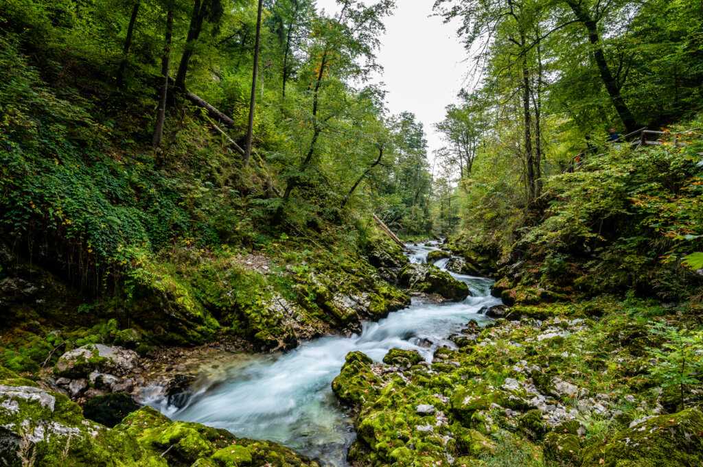 32 things to do in Slovenia: Europe's best kept secret