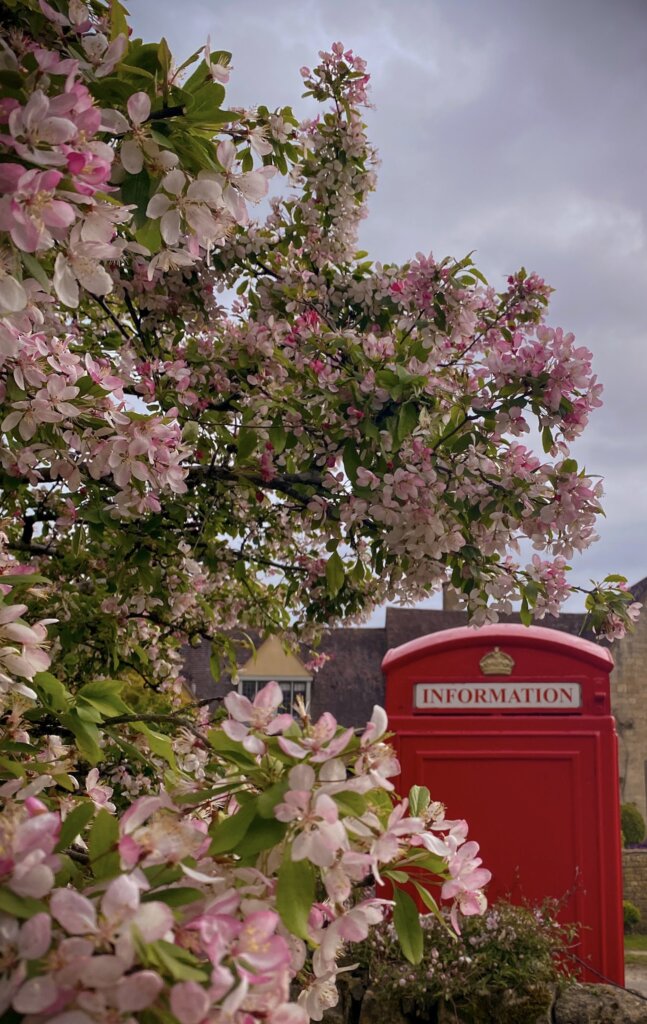 The beautiful phone box at Stanton lined with a tree in full bloom