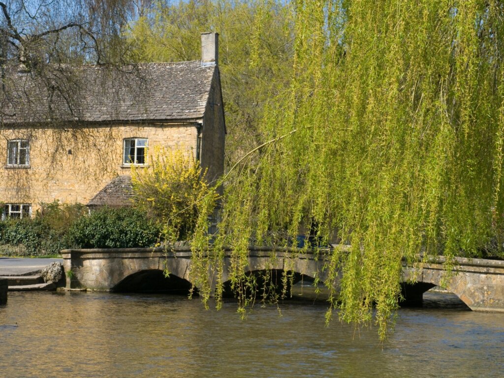 A beautiful Bourton on the Water scene, featuring one of the 5 bridges, a green overhanging tree and a honey coloured Cotswold stone house