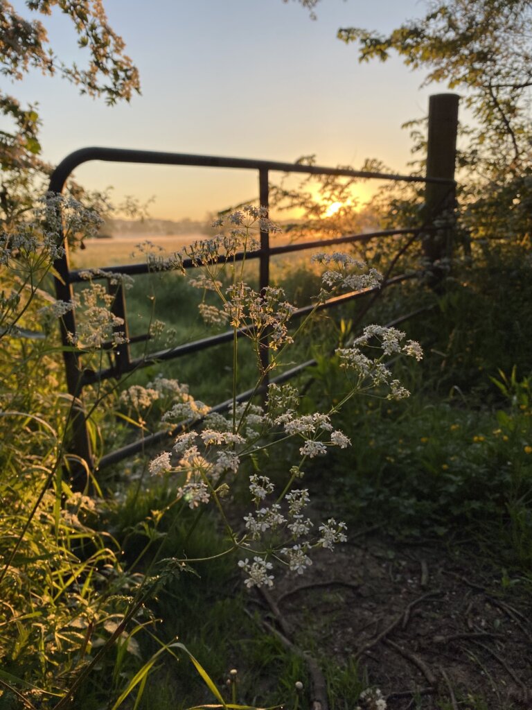 A beautiful sunrise taken whilst walking the Diamond Way