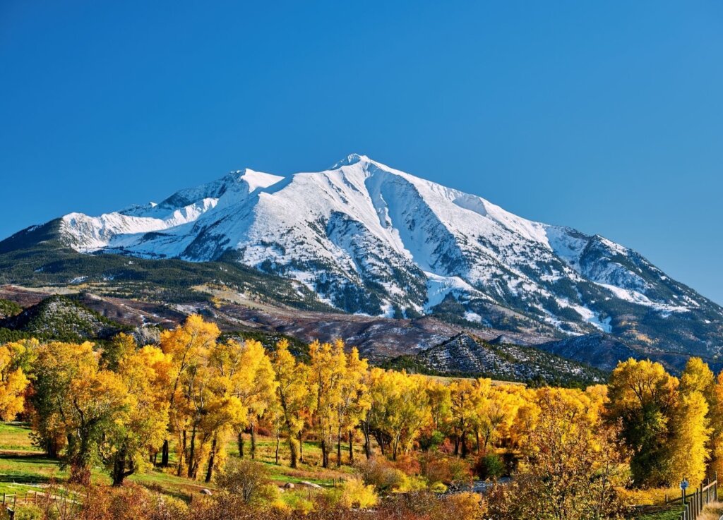 Snowy mountain peak, in Colorado, with yellowing tree lines at its base