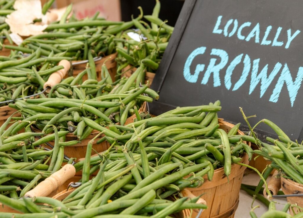 A photo of running beans in wooden buckets next to a sign that says locally grown