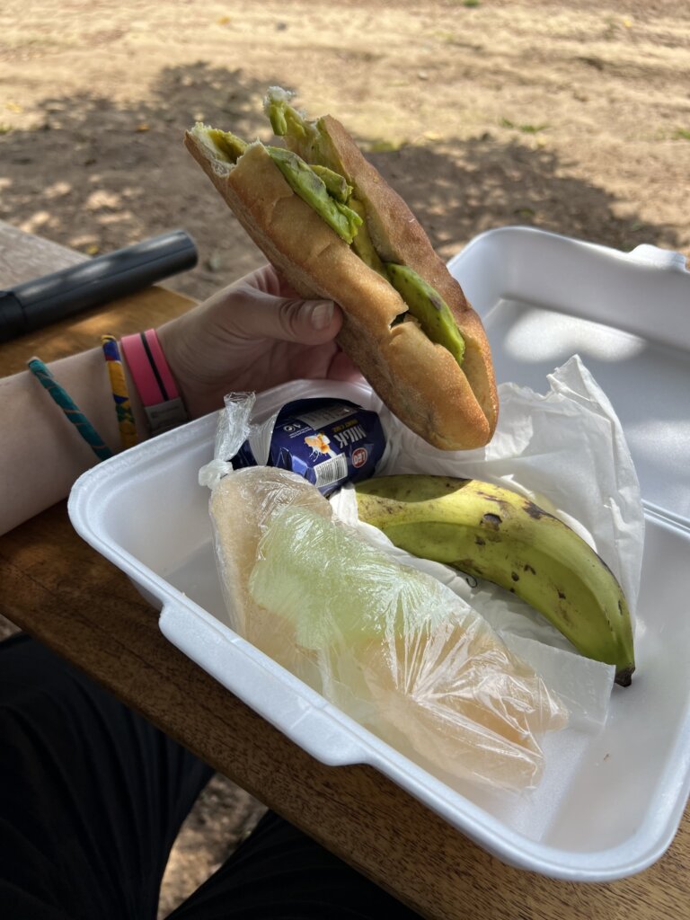 This was a typical lunch, avocado sandwich, banana, biscuits and prawn crackers