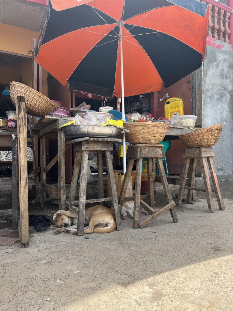 A dog sleeping with his paws over his ears just chilling