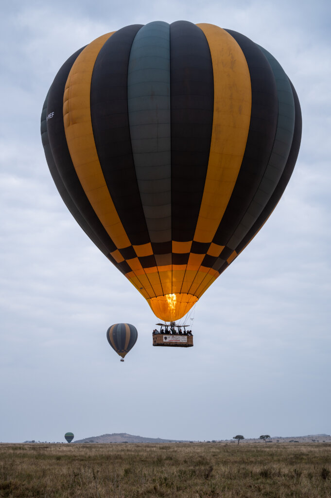 A line of hot air balloons make their way across the Serengeti