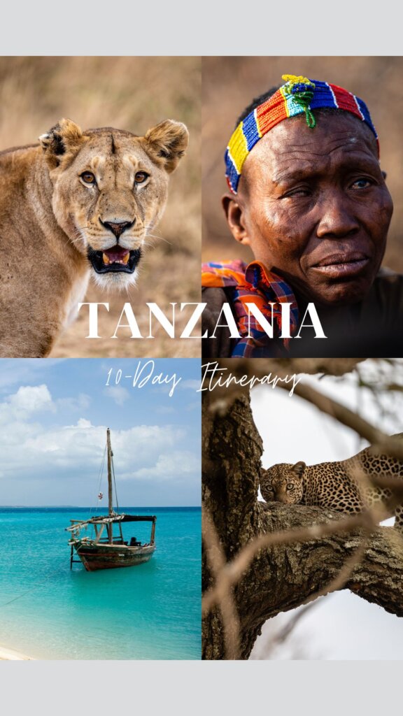 A Pinterest pin with the words "Tanzania, the perfect 10 day itinerary" and photos of a lionesses, a Hadzabe tribe member, a leopard and Zanzibar