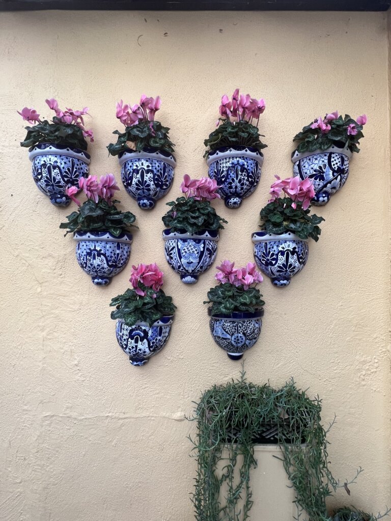 Ornate flower pots on a beige wall