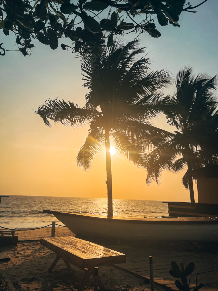 The setting sun hiding behind a palm tree