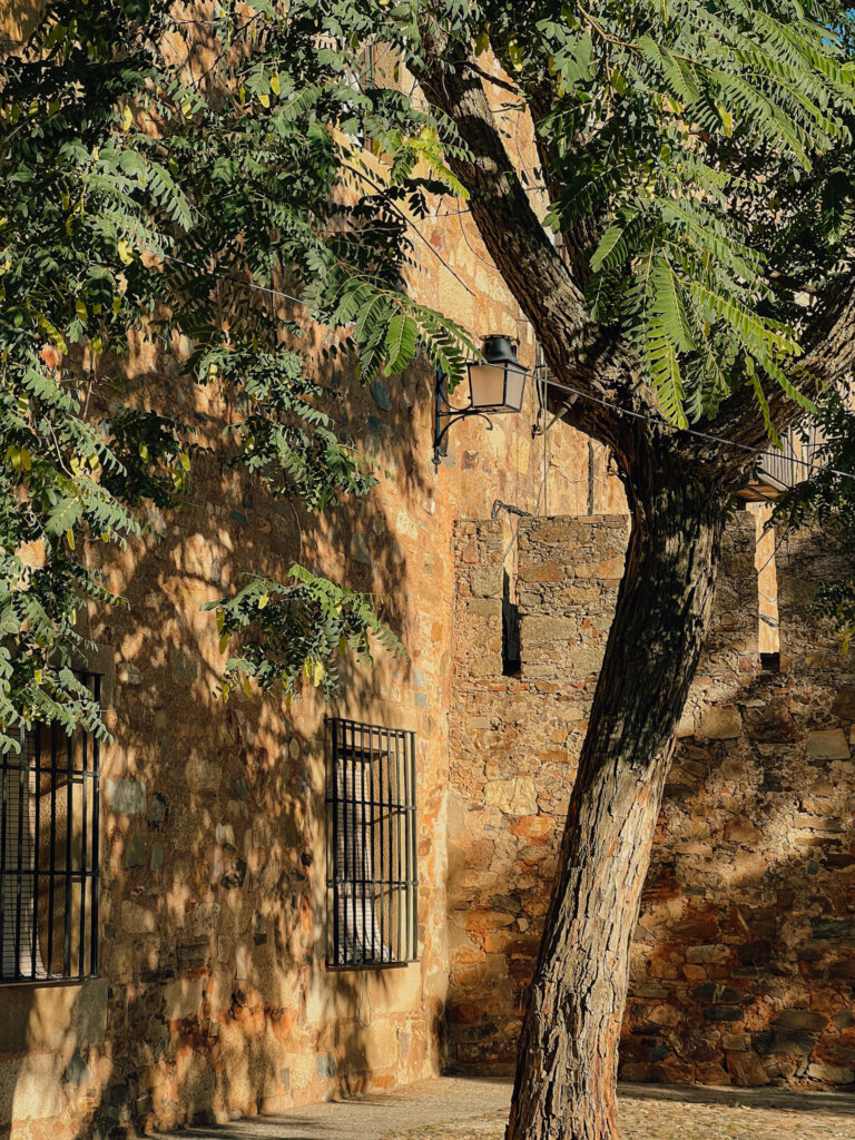 Beautiful courtyard in Caceres