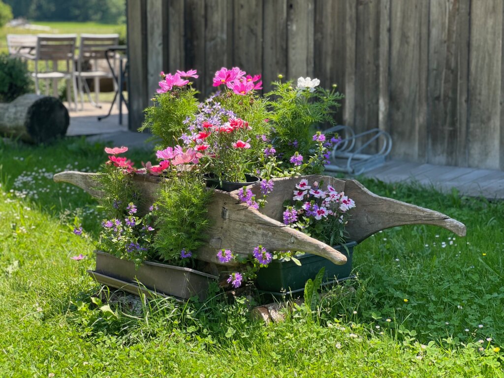 A wooden wheelbarrow filled with colourful spring flowers