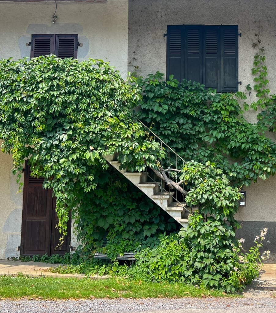 A very cute stairway in a hidden away village near Lake Annecy