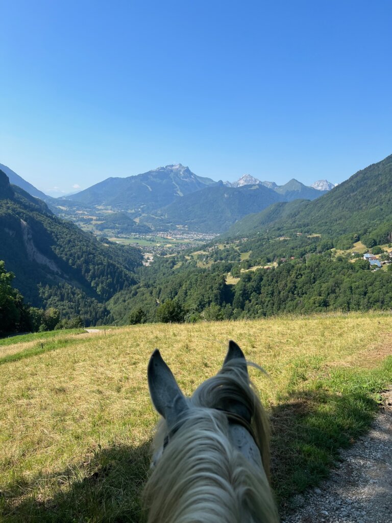 The best views are always the ones seen through horses ears