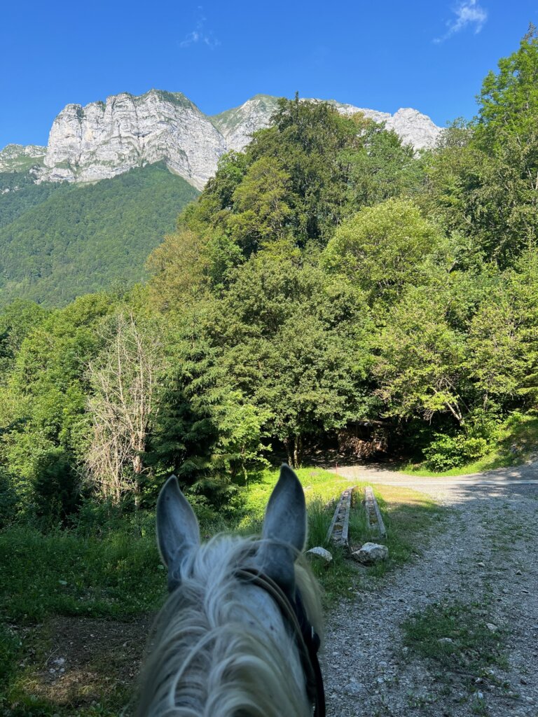 Annecy Mountains seen through the ears of a horse