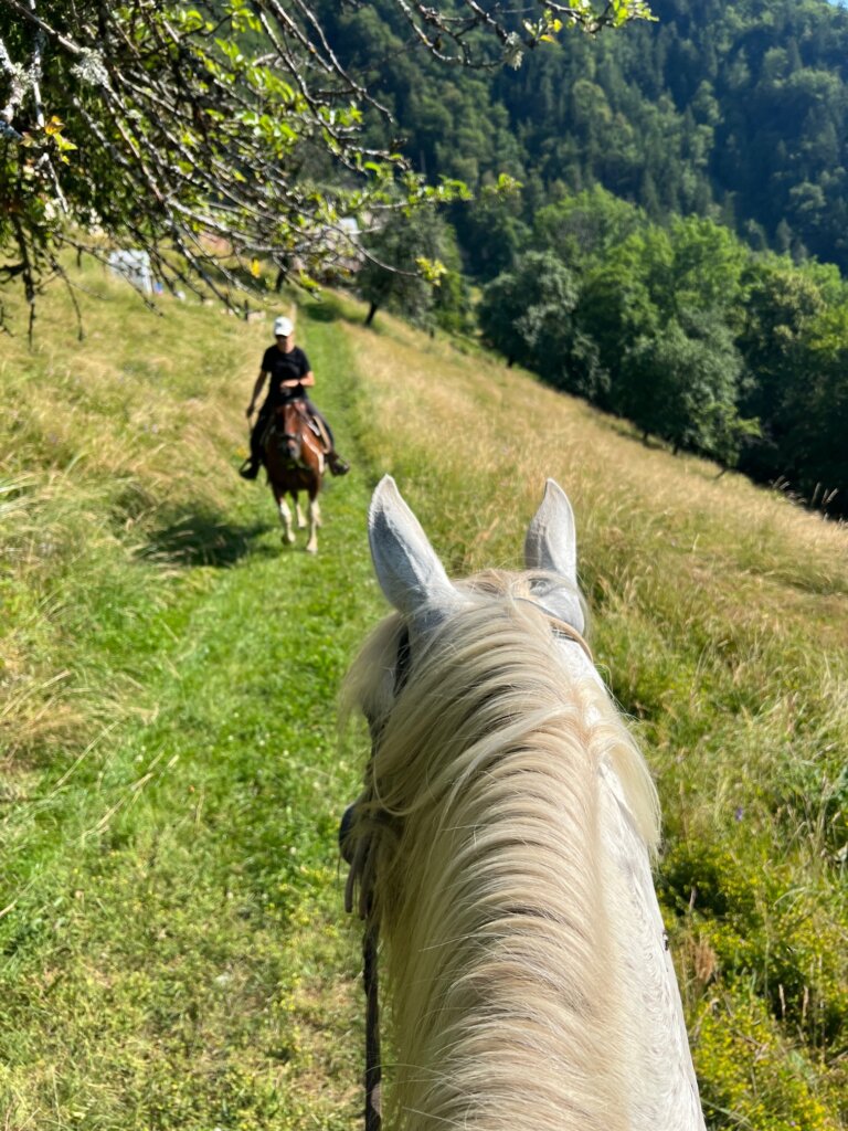 Exploring Annecy Mountains on horseback, one of the best things to do in the area