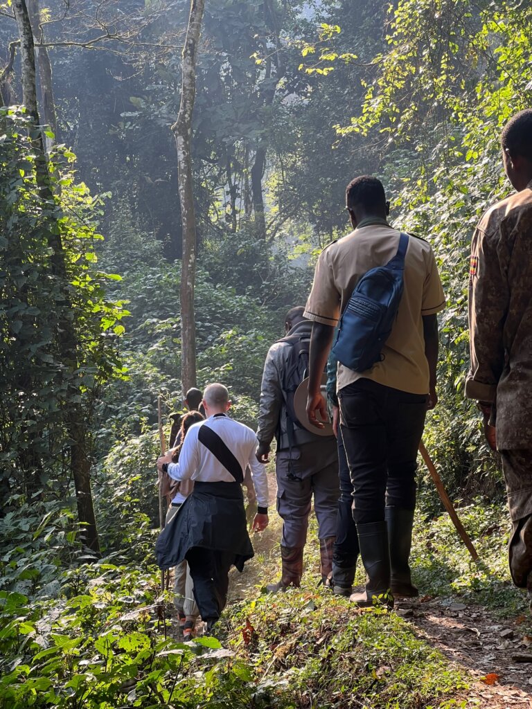 A guide, a porter and a ranger escort tourists through Bwindi forest