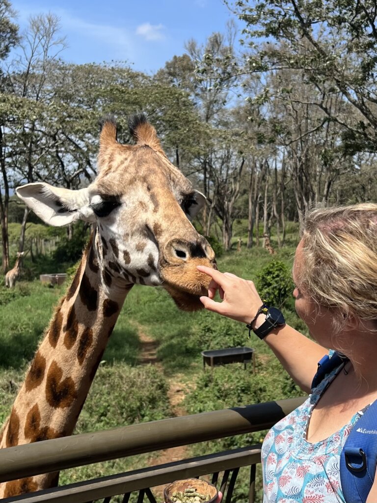 The Giraffe Centre Nairobi