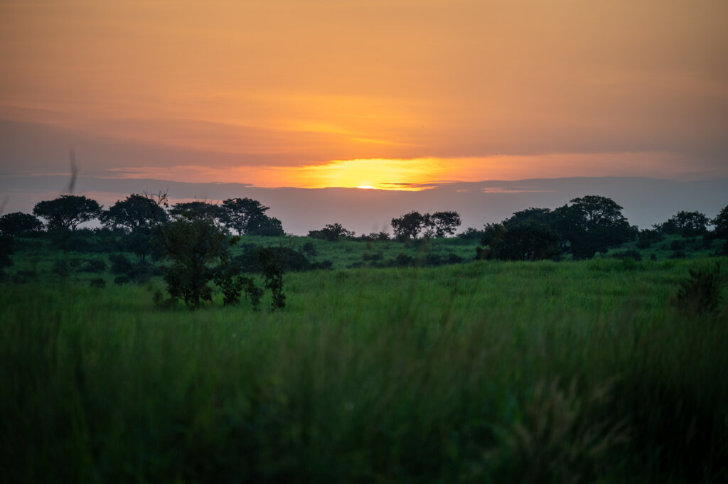 Ugandan sunset - African Sunset - Safari Sunset