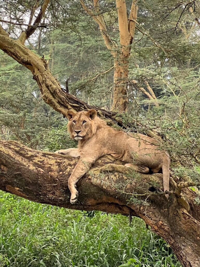 Lake Nakuru National Park