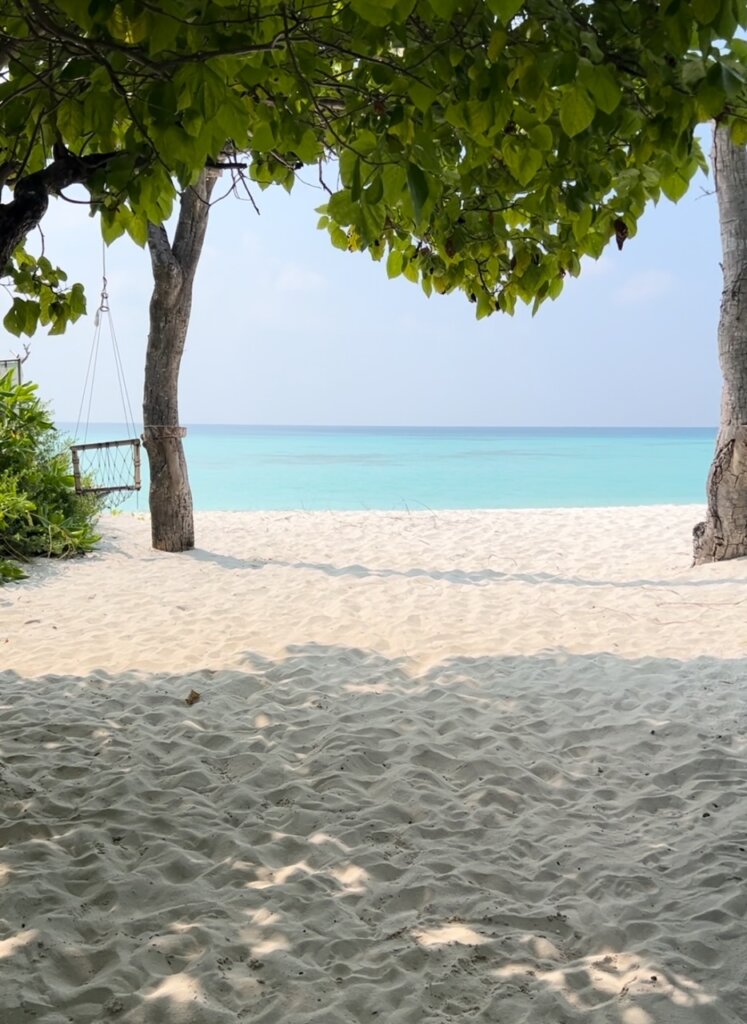 Gorgeous view of the Indian Ocean as we sat down for our first group lunch on Dhigurah Island