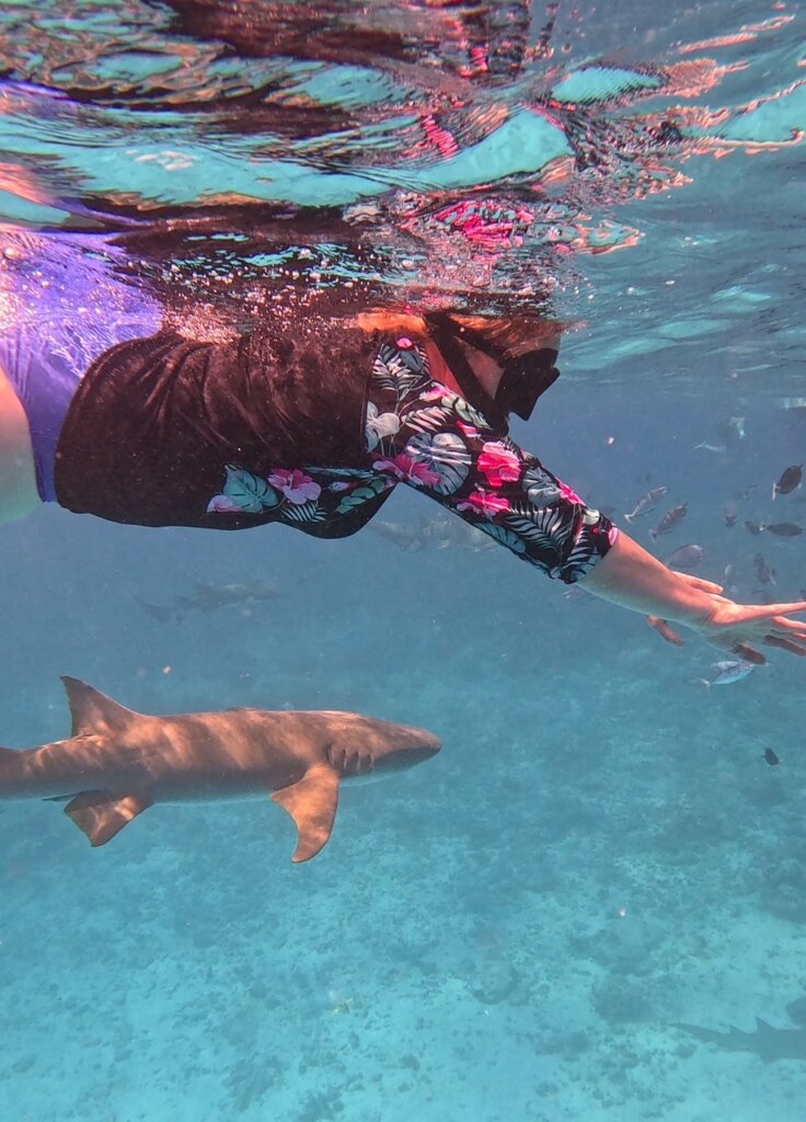 Author swimming with nurse sharks in the Maldives