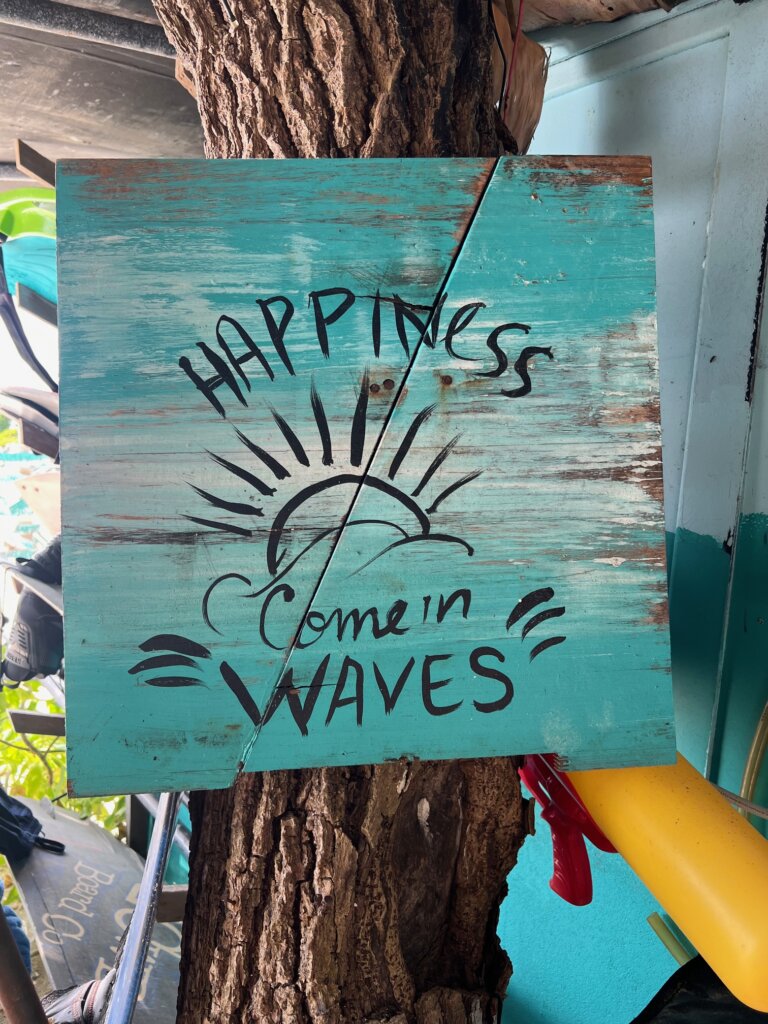 Happiness comes in waves