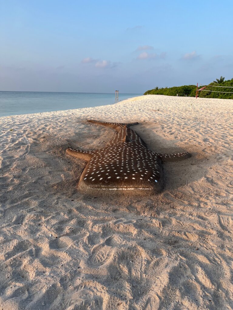 An impressive whale shark made out of sand! 