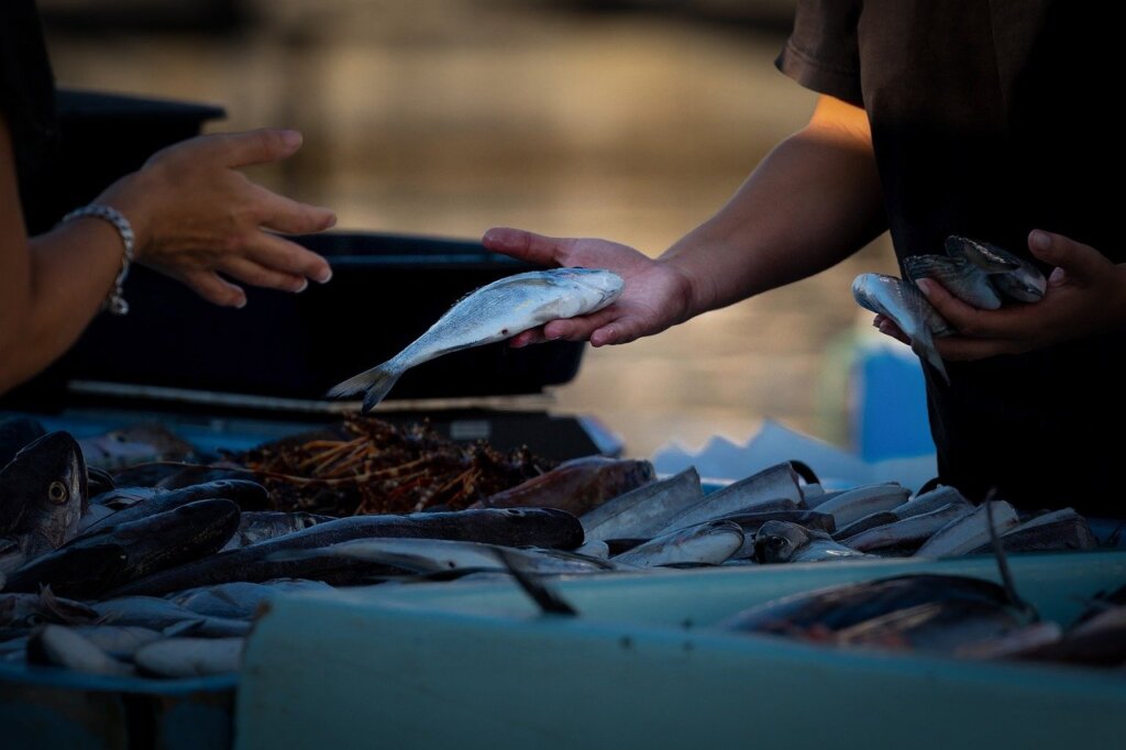 Fish market