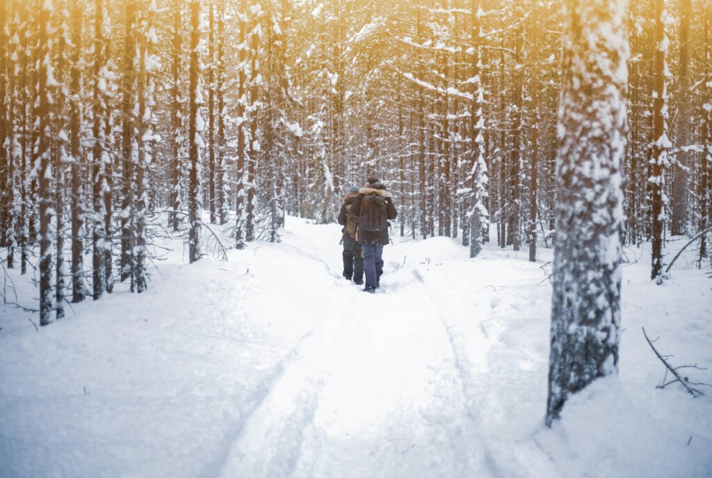 People walking through the woods