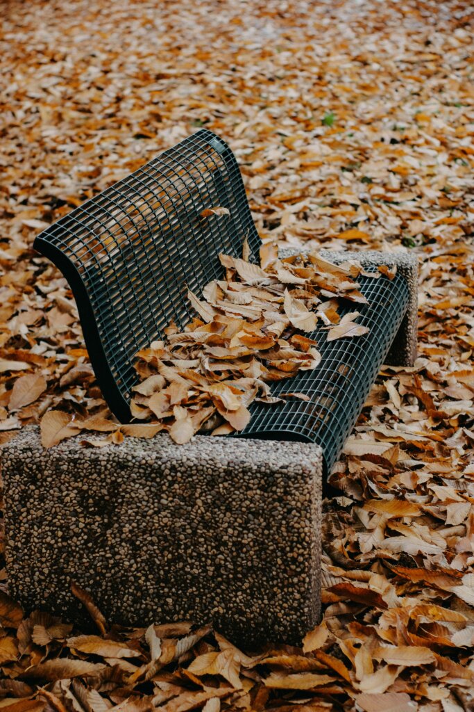 Bench covered in autumn leaves