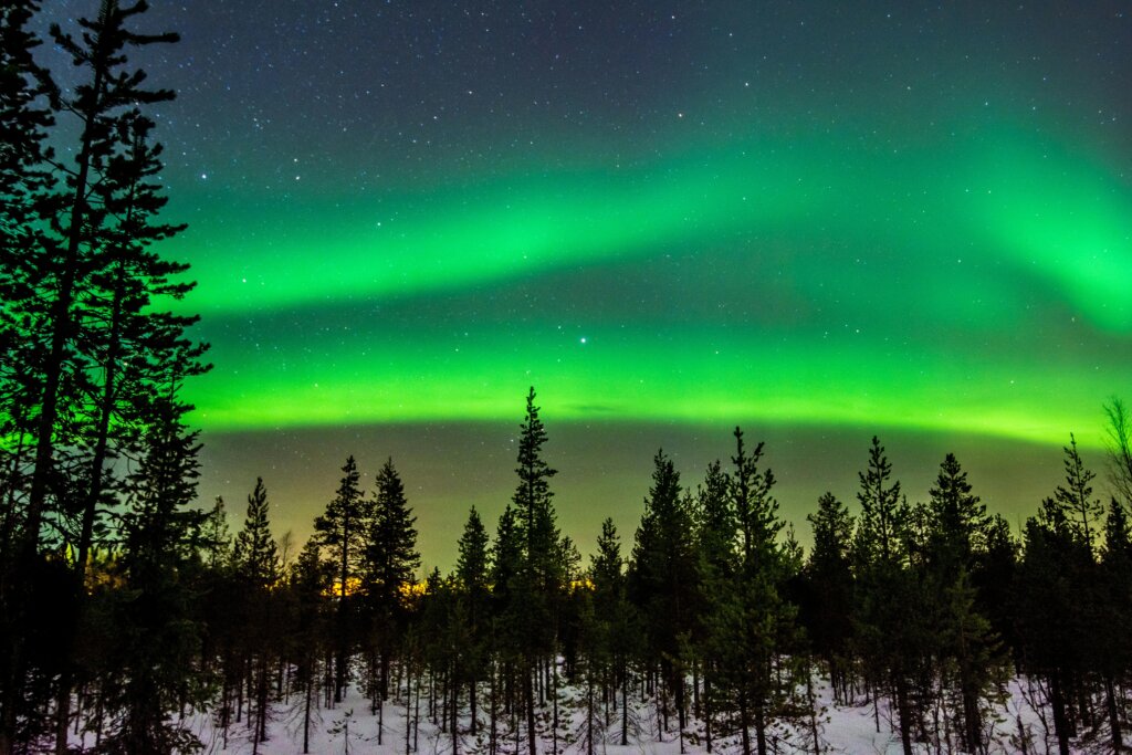 Northern lights above the treeline