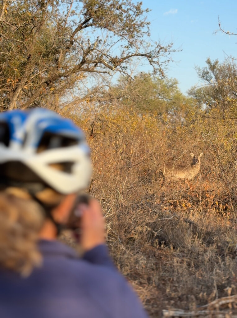 Biking in Hoedspruit Wildlife Estate