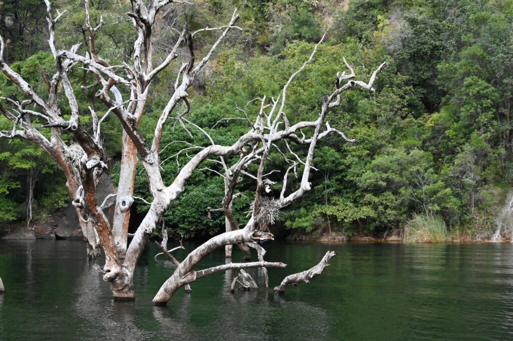 Blyde River Canyon Cruise