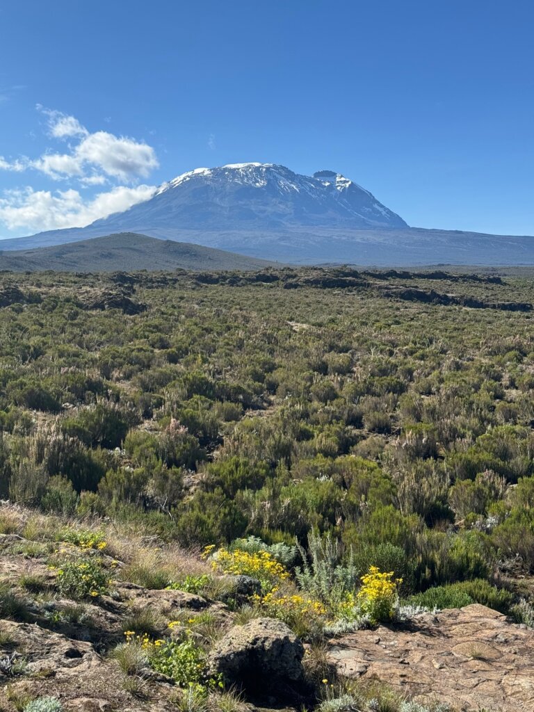 The best time to visit Kilimanjaro