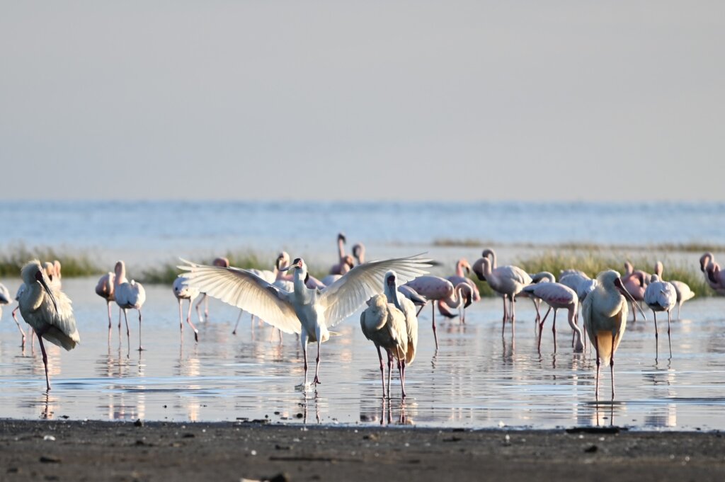 Lake Natron, Tanzania