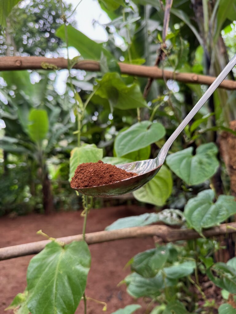 Materuni Coffee Plantation Tour