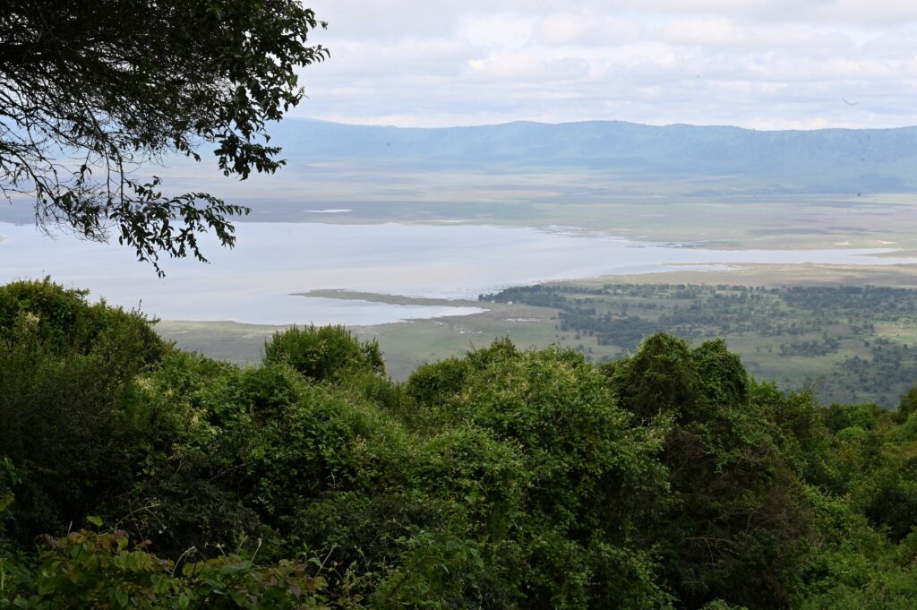 Ngorongoro in May