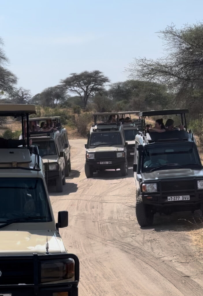 Trucked piled up in Tarangire