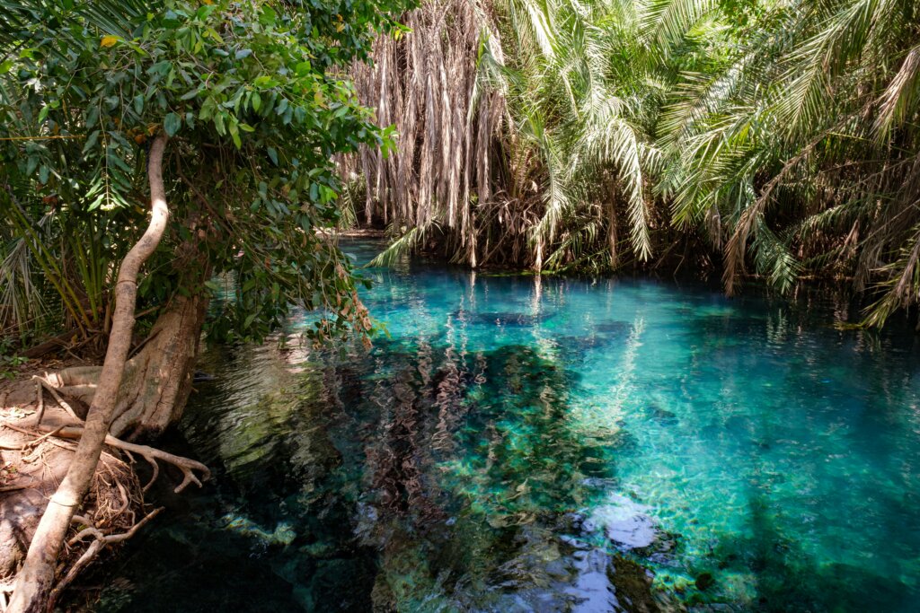 Kikuletwa Hotsprings