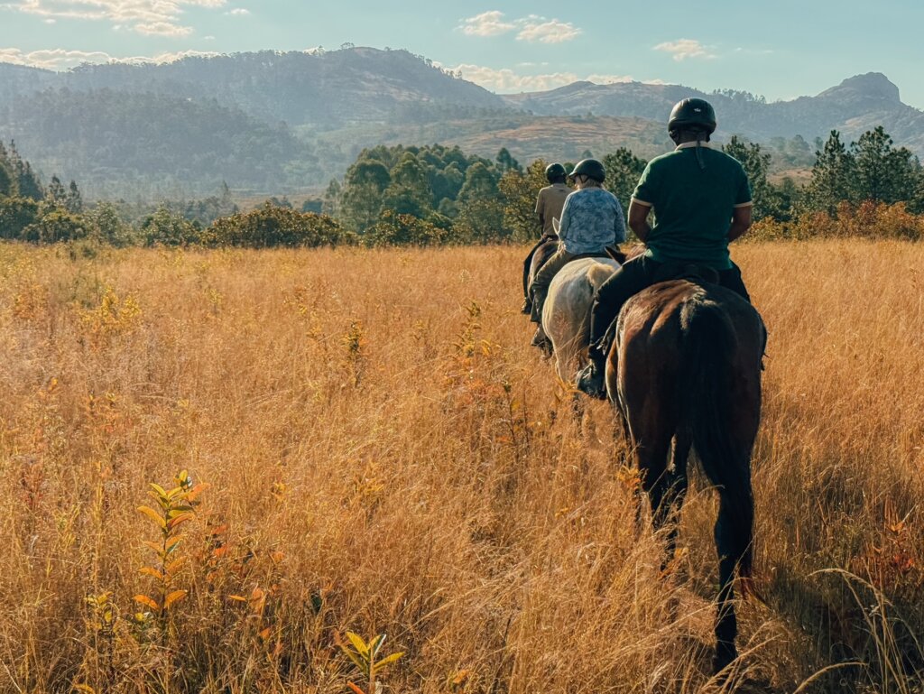 Horse riding in Eswatini