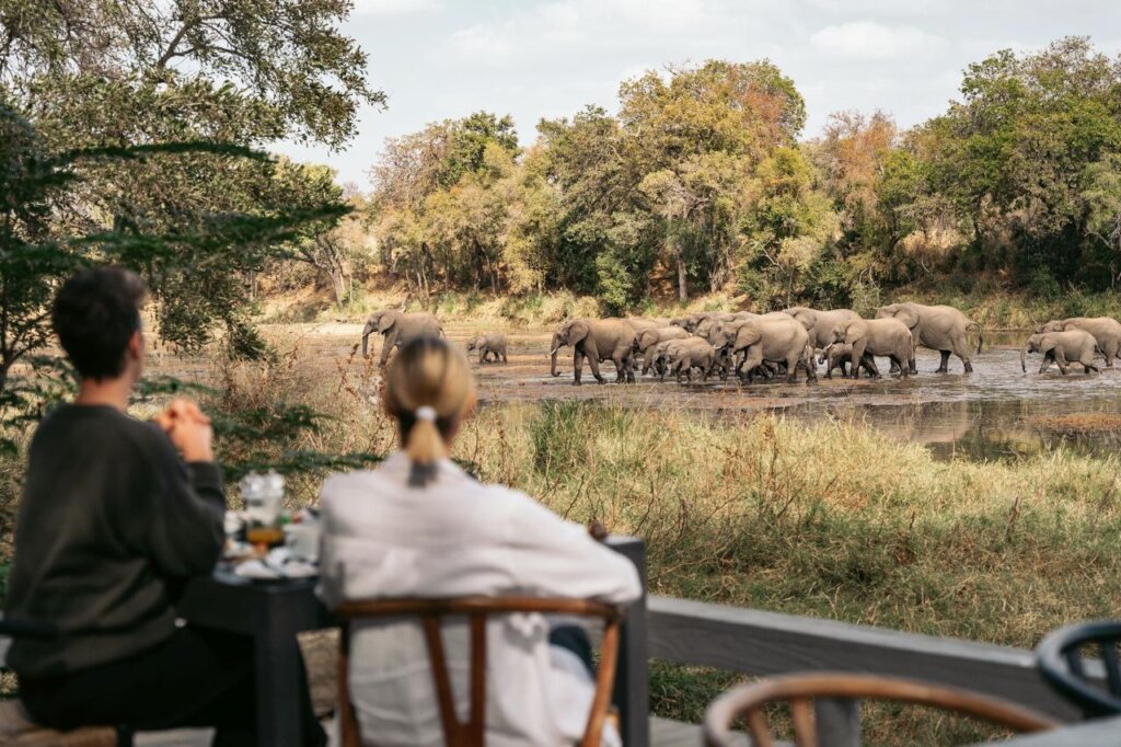 Simbavati River Lodge - South Africa 14 Day Itinerary - South Africa Safari