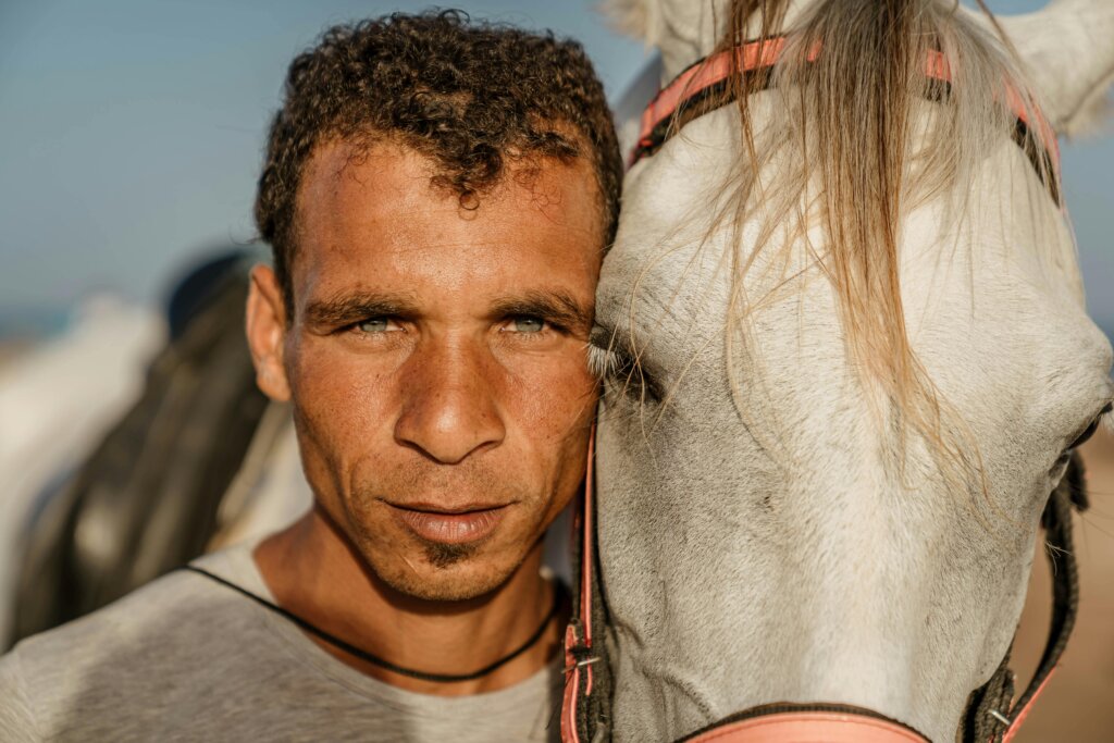 Man and horse