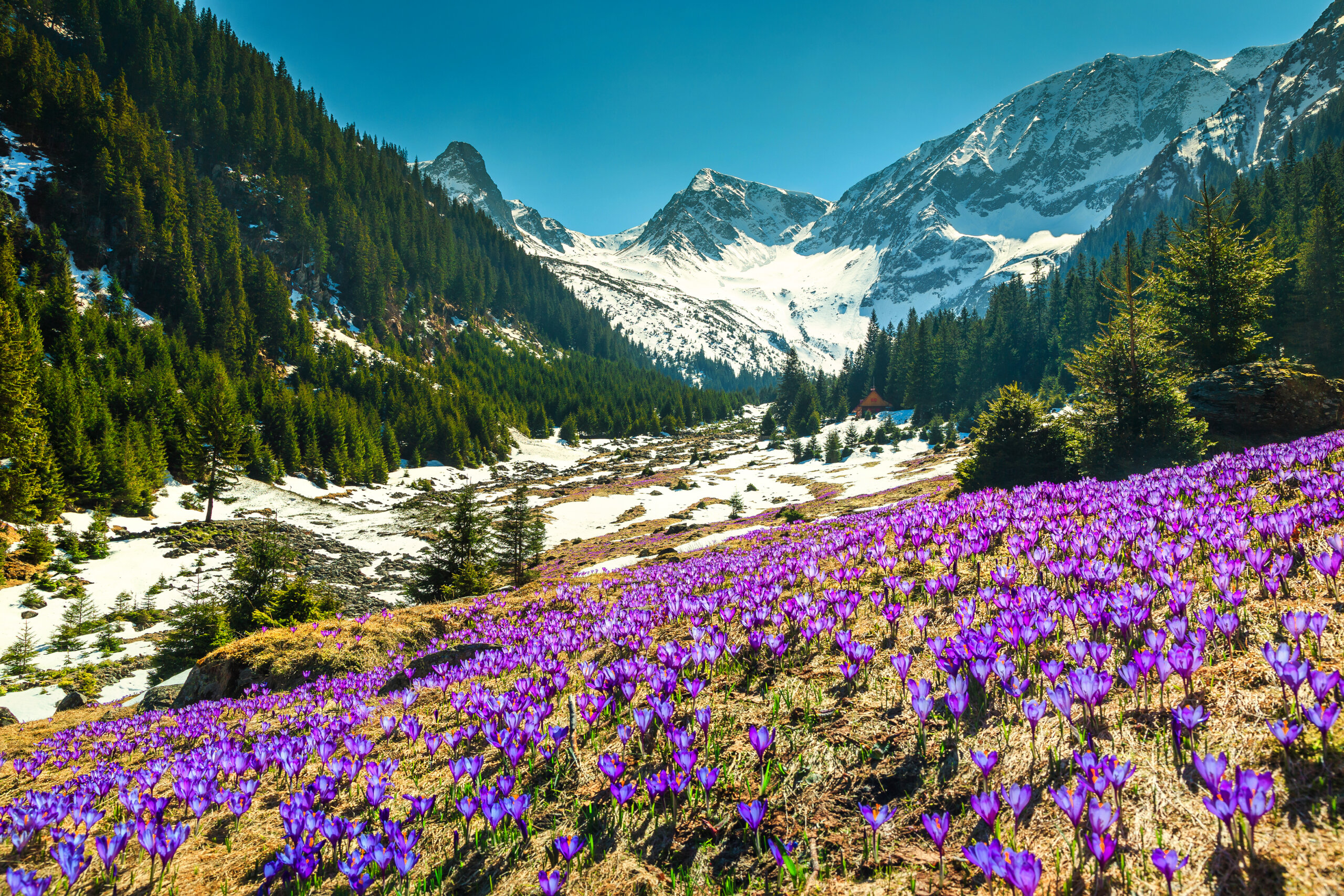 Făgăraș Mountains