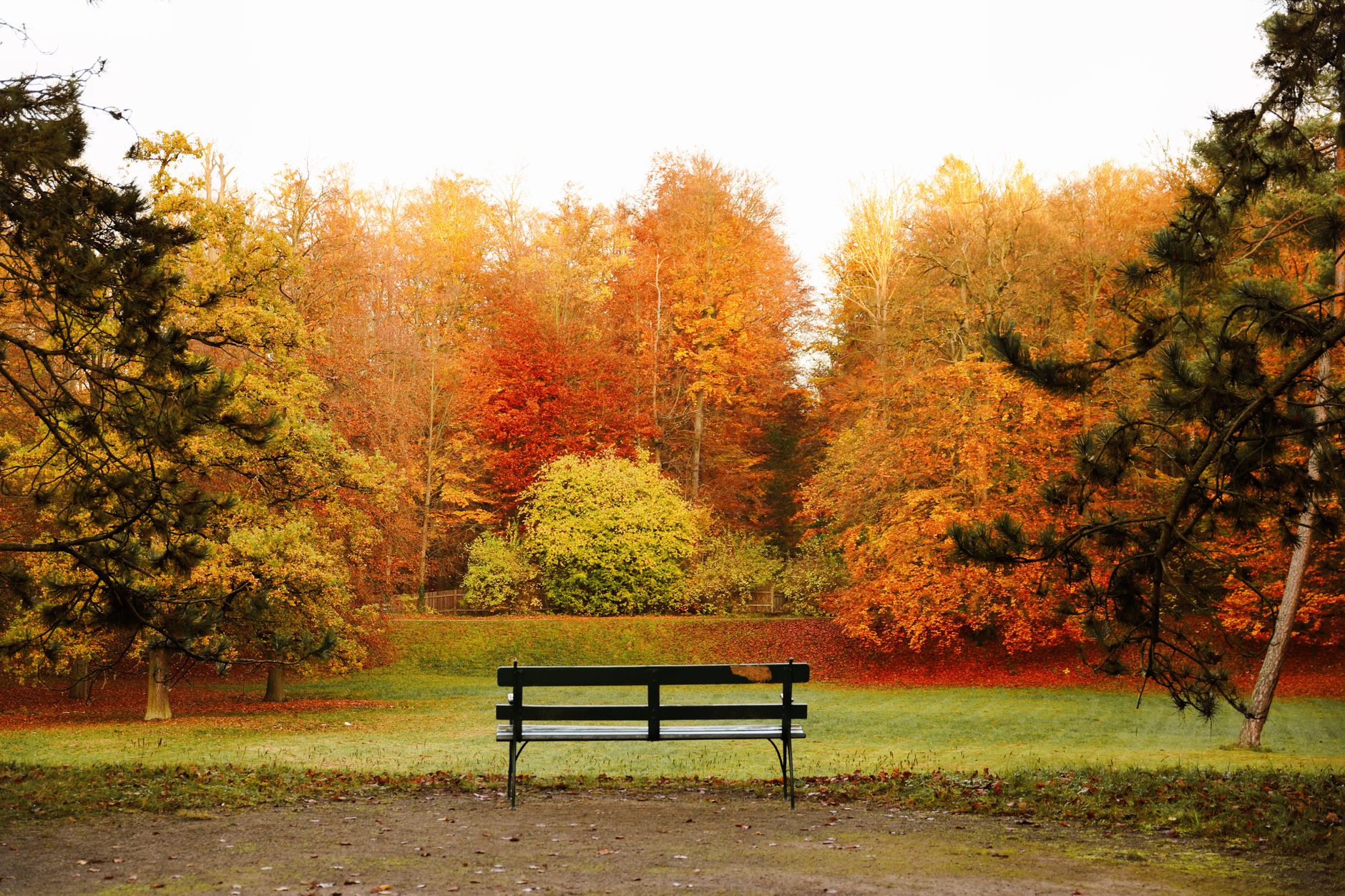 scenic autumn park bench in calden hessen